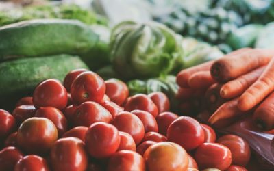 Alimentos Geneticamente Modificados e Alimentos Transgênicos
